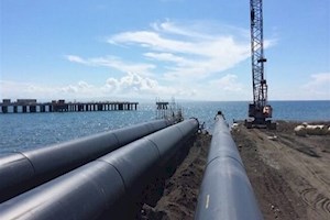 جریان حیات در فلات خشک ایران