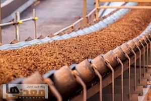 «بائو» در حال بررسی خرید سهام یکی از معادن BHP