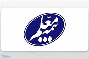 مدیرکل رفاه آموزش و پرورش از خدمات بیمه معلم به زائران اربعین تجلیل کرد