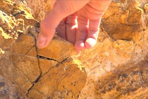 طلا در دل زمین، خاک در دست مردم/ روایتی از تبعیض معدنی در خوسف!